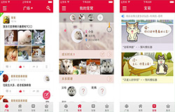 寵物垂直電商APP開發(fā)兩個方向