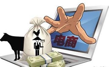 農(nóng)村電商APP軟件開發(fā)挖掘農(nóng)村“互聯(lián)網(wǎng)＋”金礦