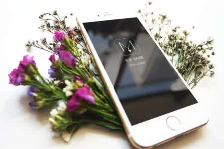 花店業(yè)務(wù)管理軟件開發(fā) 全方位管理零壓力