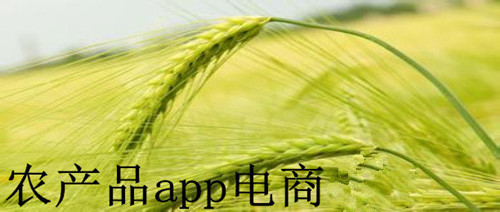 農(nóng)產(chǎn)品電商app開發(fā)真的便捷嗎