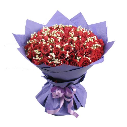 專業(yè)的養(yǎng)花管理app開發(fā)成為愛花者大本營(yíng)