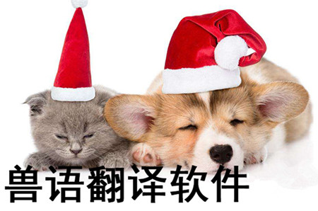 獸語翻譯器app開發(fā) 和動(dòng)物交流無障礙