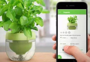 共享花盆APP開發(fā) 享受新的樂趣