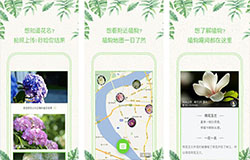 拍照識(shí)花APP開發(fā) 玩轉(zhuǎn)花草世界