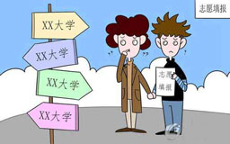 高考志愿APP開發(fā) 報(bào)考不用愁