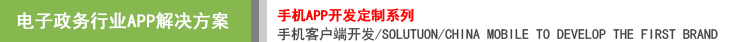 電子政務(wù)APP開發(fā)解決方案