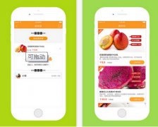 生鮮水果APP開發(fā)運營模式分析