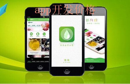 APP開(kāi)發(fā)大概需要多少錢 