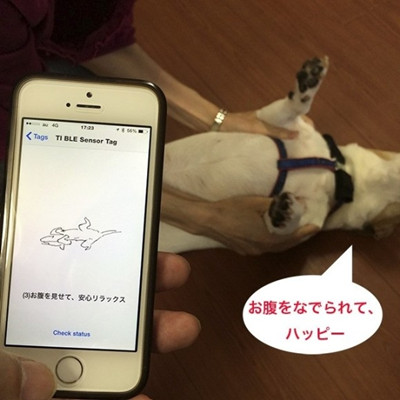 動物語音翻譯軟件開發(fā)
