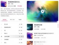 訂制音樂播放器軟件解決方案