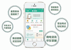 掌上電力APP外包開發(fā) 移動平臺