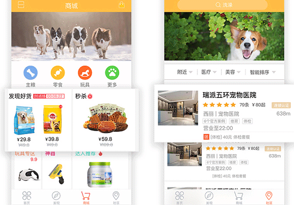 寵物服務(wù)APP開發(fā) 養(yǎng)寵更自如--廣州軟件制作公司酷蜂科技