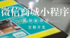 商城類小程序開發(fā)還有必要嗎