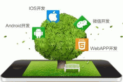 APP軟件開發(fā)有什么需要調整的地方
