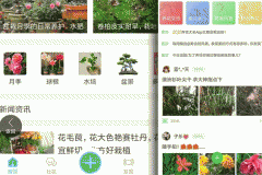 軟件開發(fā)花友交流app 養(yǎng)花種草經(jīng)驗交流專屬社區(qū)
