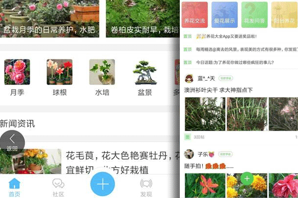 花友交流app開發(fā)養(yǎng)花種草經(jīng)驗(yàn)交流平臺(tái)--廣州app公司酷蜂科技