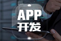 如何選擇app開發(fā)公司？