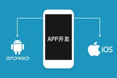 APP外包開發(fā)公司主要有哪些業(yè)務(wù)？