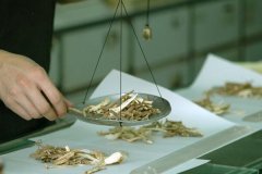 中藥app制作軟件為用戶提供便捷的中藥材知識和服務
